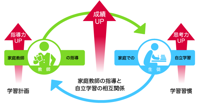 家庭教師の指導と自立学習の相互関係。北大家庭教師センターの北大式指導法